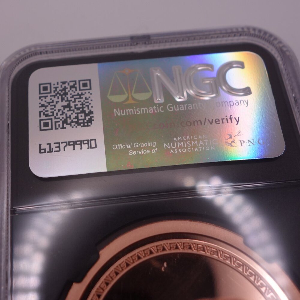 VeeFriends Coins 2025 Intuitive Iguana Copper Medal GEM PROOF Rookie Coin NGC - Picture 11 of 16